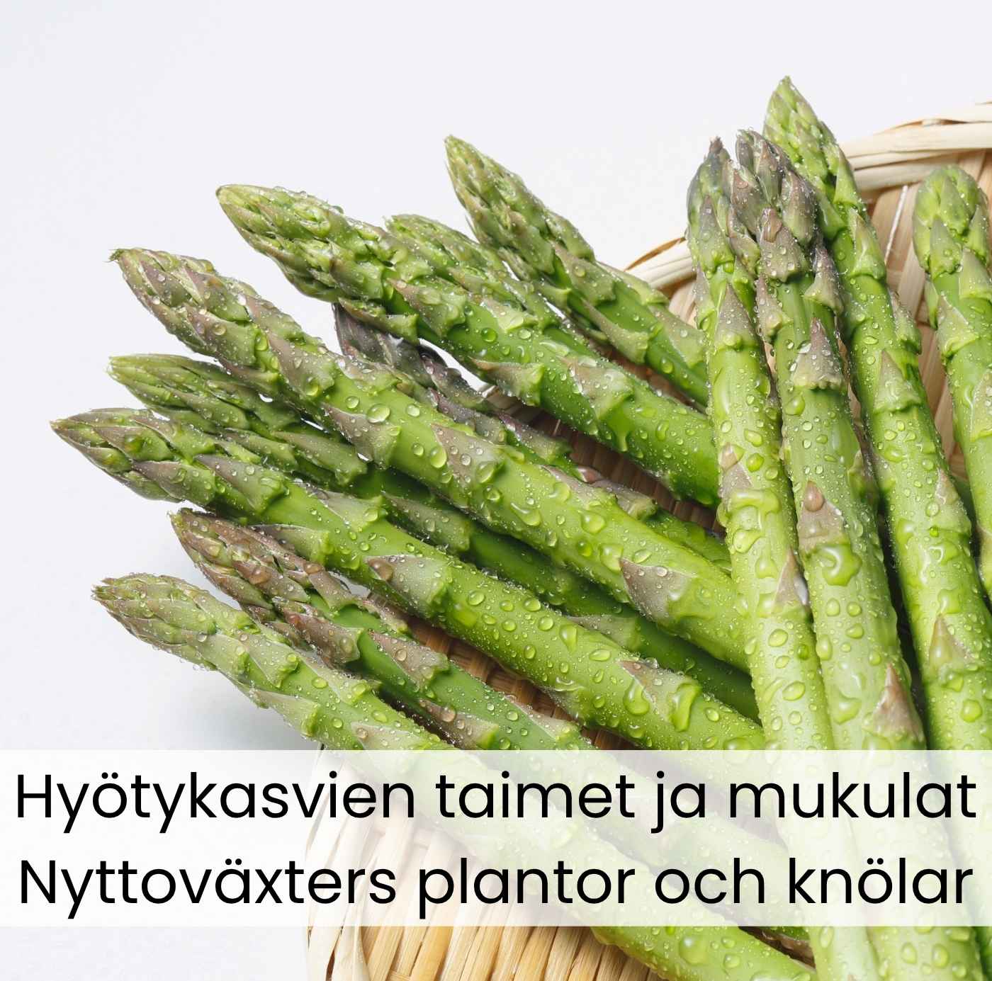 Hyötykasvien taimet ja mukulat